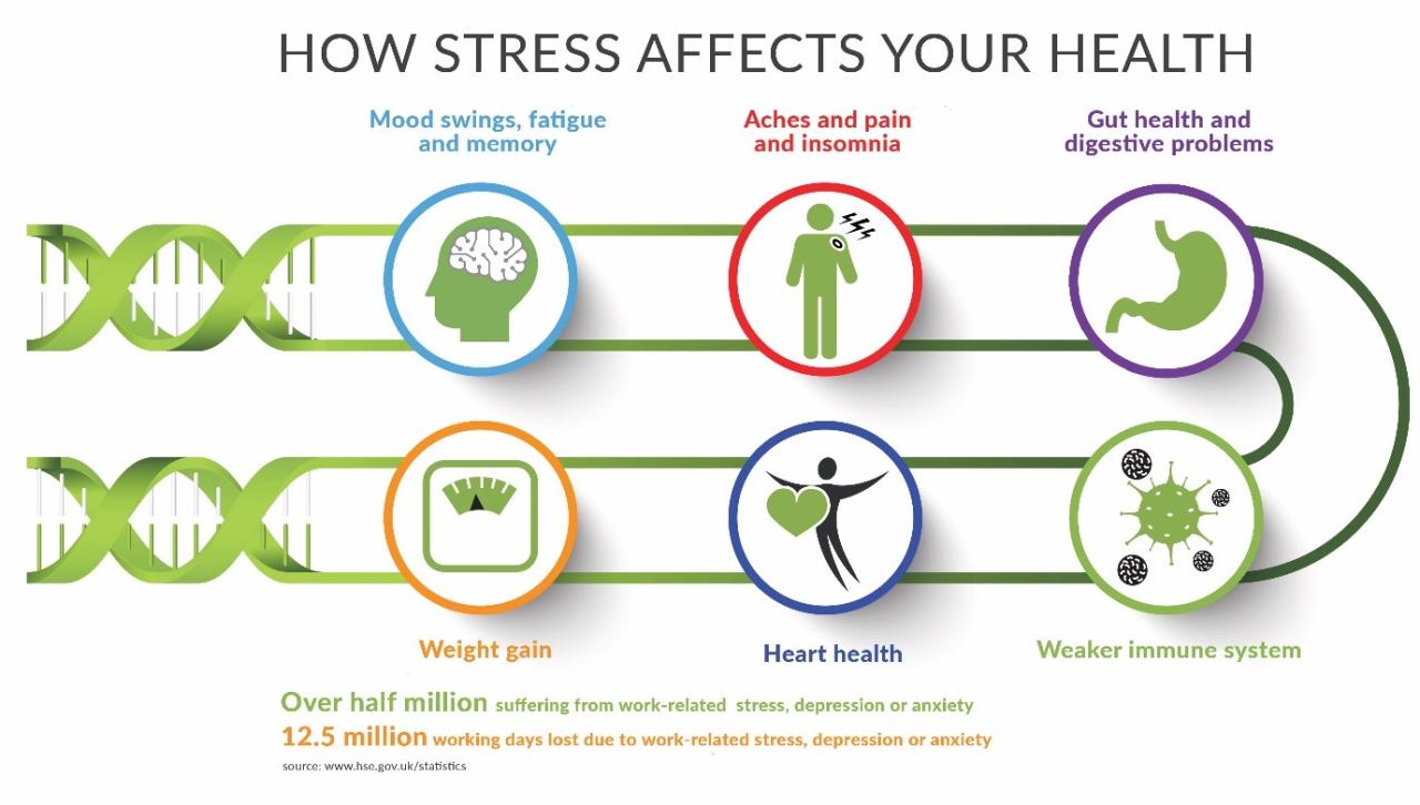 How Can Stress Impact Physical Health Over Time
