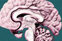 What Are The Benefits Of Mindfulness Meditation For Health?