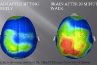 How Does Physical Activity Influence Brain Function In Aging?